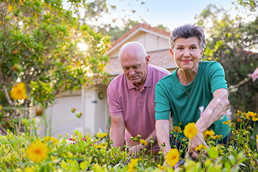 Positive Ageing